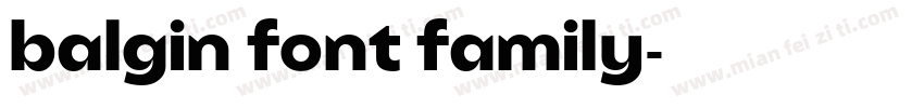 balgin font family字体转换